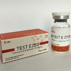 Test E 250